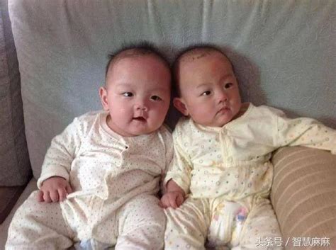 狗年宝宝双胞胎取名 姓刘