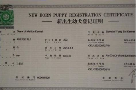 狗狗血统证书和狗证有什么不同
