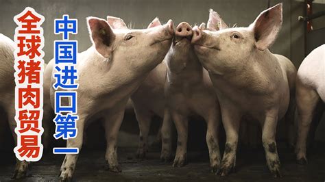 猪肉进口国增加到21个