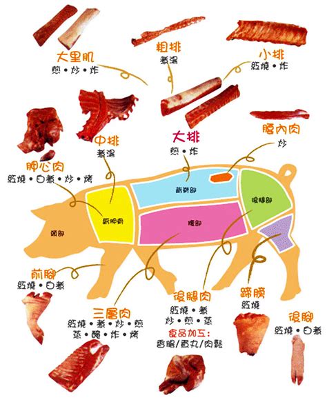 猪肉部位图解及吃法