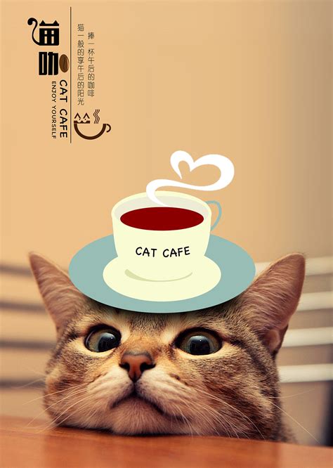 猫咪咖啡馆文案广告语