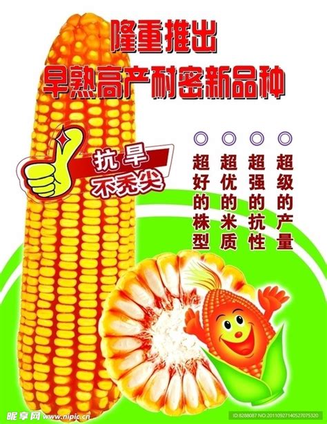 玉米种子品种宣传顺口溜