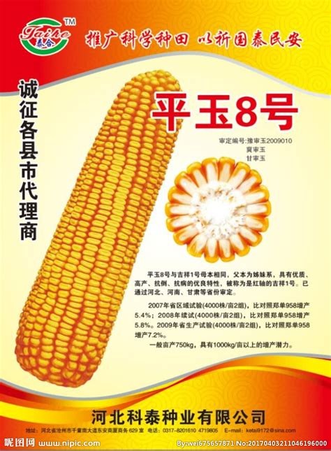 玉米种子热门话题