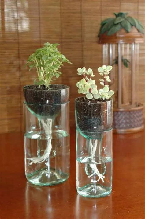 玻璃瓶子的花盆制作方法