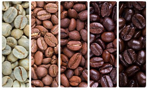 生咖啡豆推荐排名