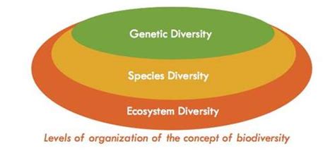 生态系统多样性