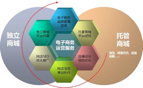 电子商务seo推广运营模式是什么
