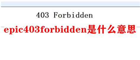 电脑上出现403forbidden怎么处理