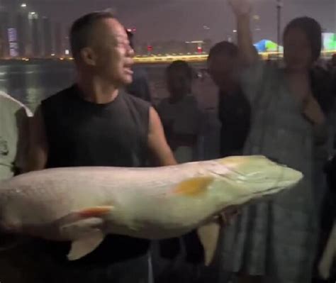 男子在湘江钓到63斤大鱼违法不