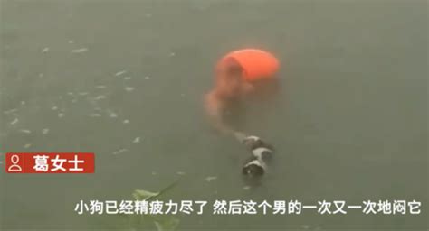 男子将狗闷入水中