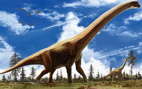 目前世界上最大的恐龙是什么