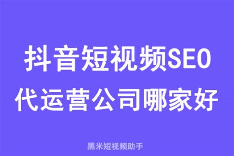 短视频seo专业公司