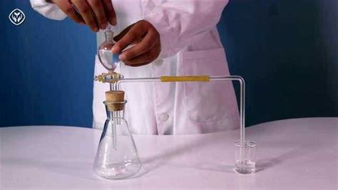 硫化氢和碳酸氢钠反应