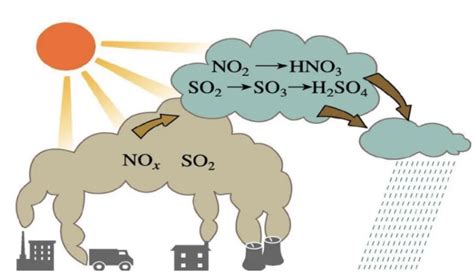 硫化氢是怎么形成的