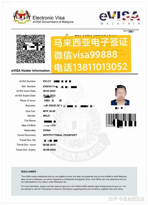 禹州电子签证条件