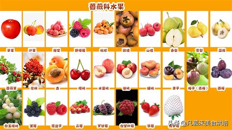 秋季水果大全100种