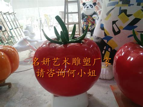 秦皇岛小番茄装饰