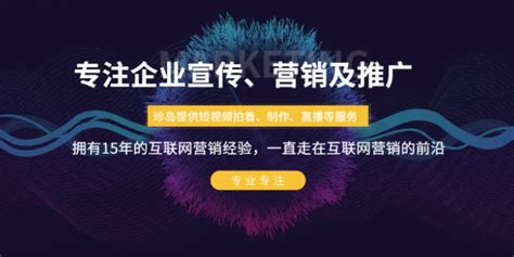 竞秀区seo网络营销