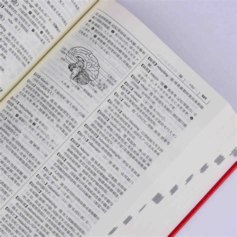第一个汉语字典