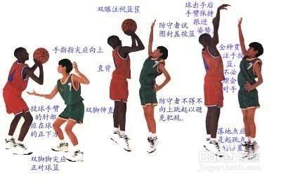 篮球的八个基础动作