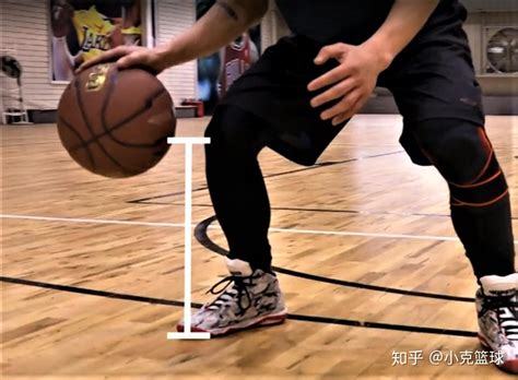 篮球零基础新手教学