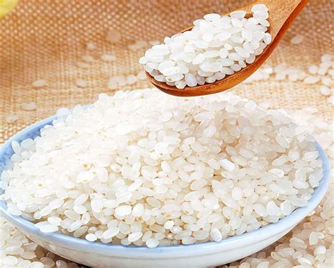 粳米是我们俗称的什么米