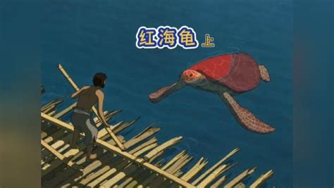 红海龟动画片在线观看