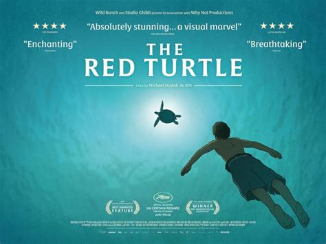 红海龟电影想表达什么