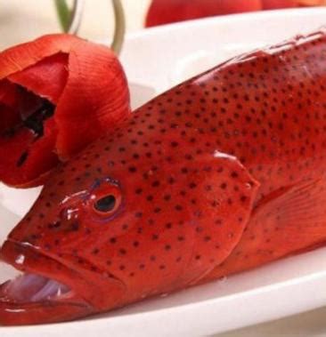 红色石斑鱼叫什么