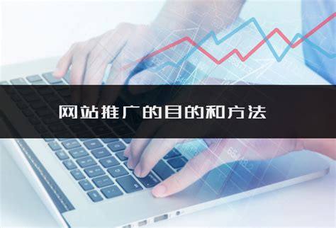 绍兴网站推广实战优化公司