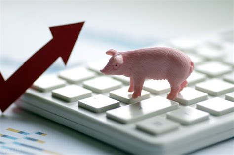 经济日报猪价将温和上涨