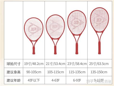 网球拍尺寸和规格对照表
