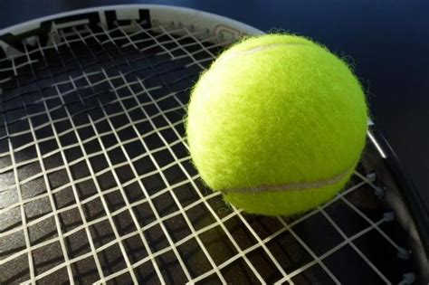 网球有助于减肥吗