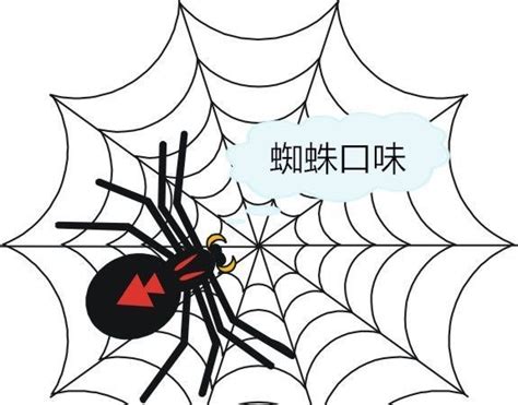 网站怎么吸引蜘蛛