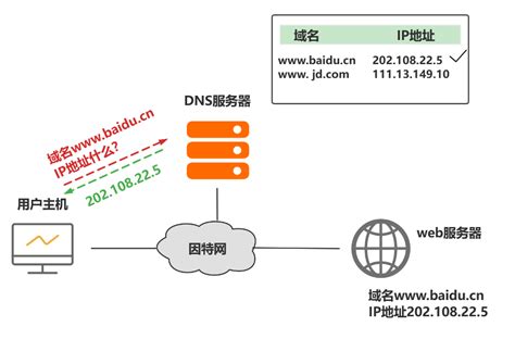 网站DNS配置