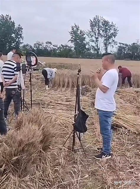 网红扎堆到麦地直播割麦，是来帮忙还是添乱？媒体：农民的苦难不是流量的噱头