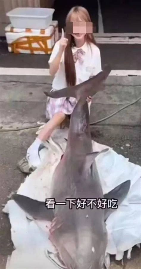 网红烹食噬人鲨卖家被抓