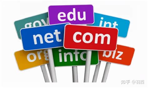 网络域名和seo信息