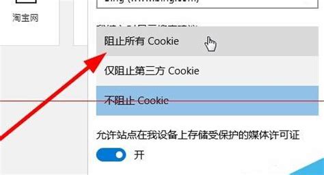 网页cookie怎么打开