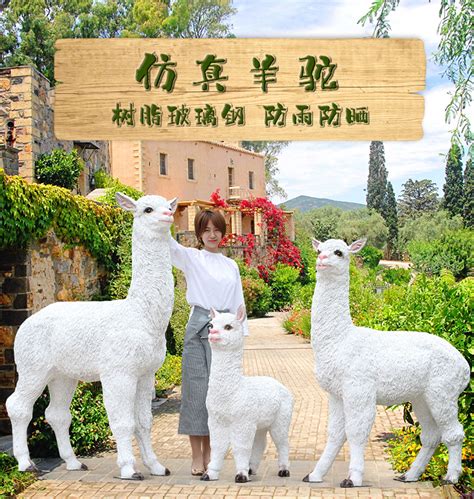羊驼雕塑玻璃钢仿真动物摆件