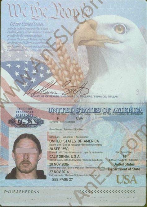 美国护照样本高清图片