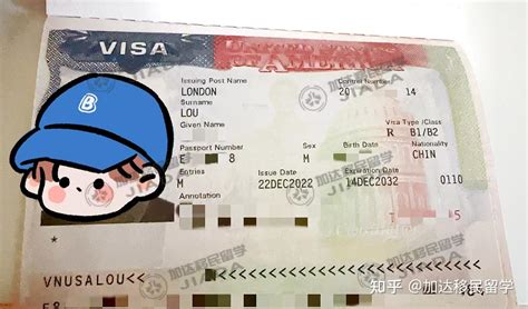 美签check收或不收护照