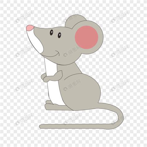 老鼠取名可爱