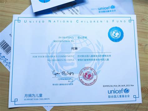 联合国什么证书最好拿