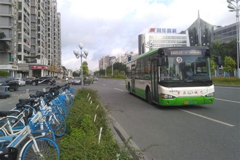 肇庆市观光公交车行车路线