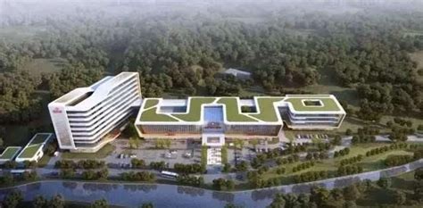肇庆高要区医院项目施工中标