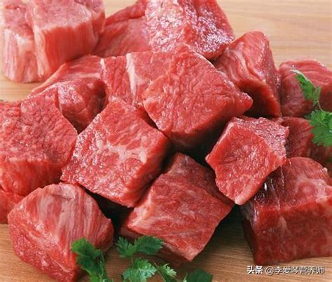 肉类脂肪含量最高的是什么