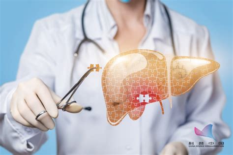 肝脏出现问题身体有哪些表现