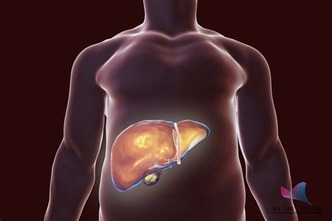 肝脏异常有哪些征兆