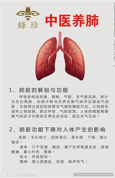 肺的中医养生知识